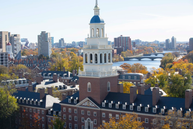 Boustany Foundation Harvard University MBA Scholarship 2025